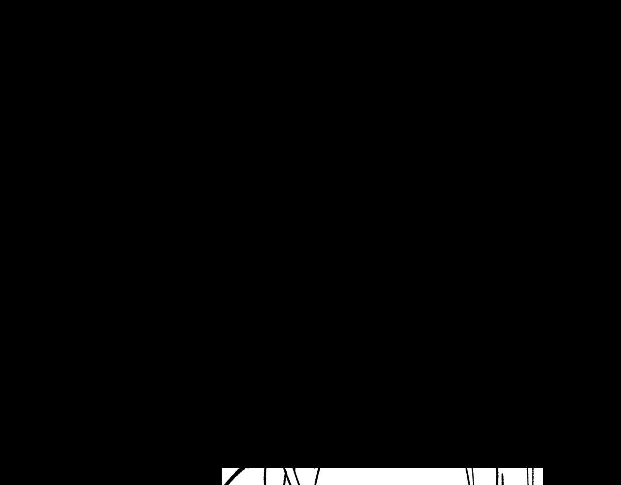 第104话 无人依靠3